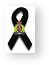 Stacks Image 11337223